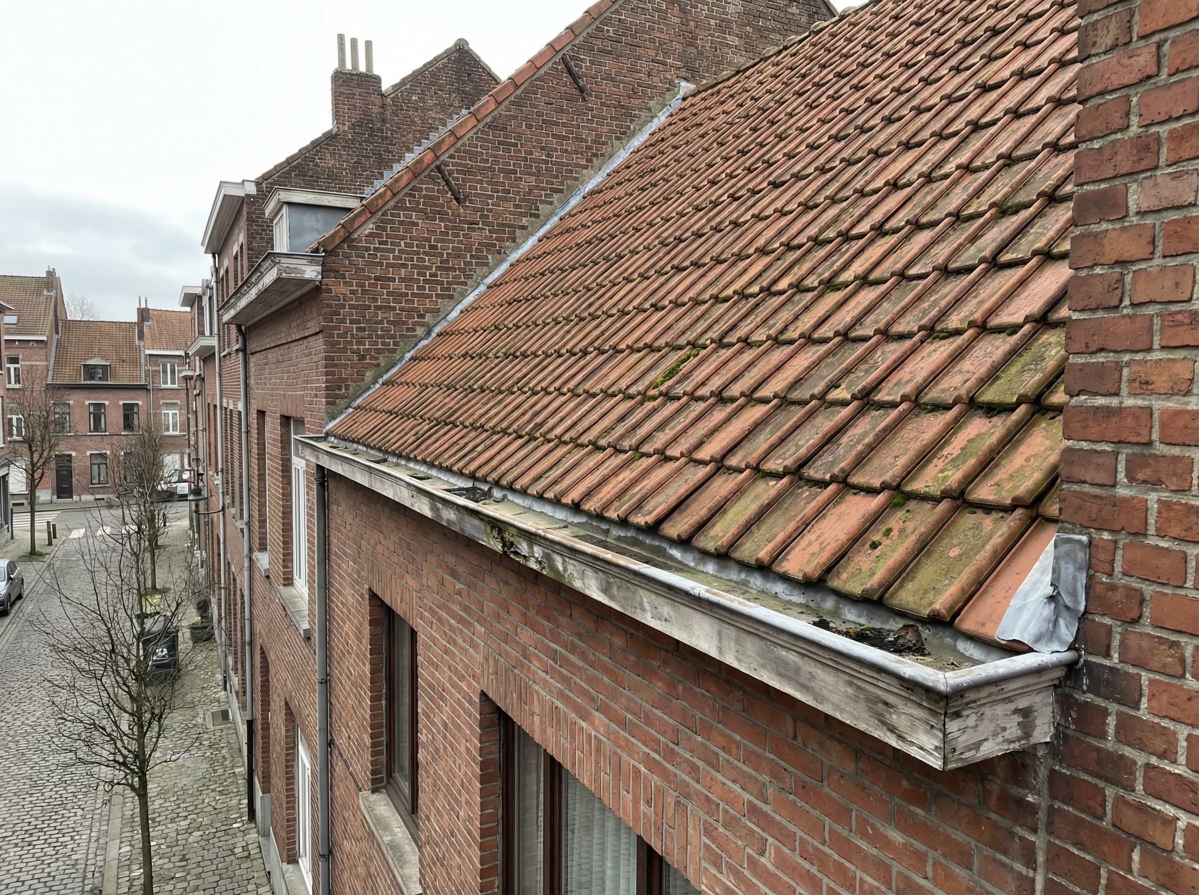 Maison en brique avec toiture en tuiles, gouttière apparente et mousse légère à Bruxelles